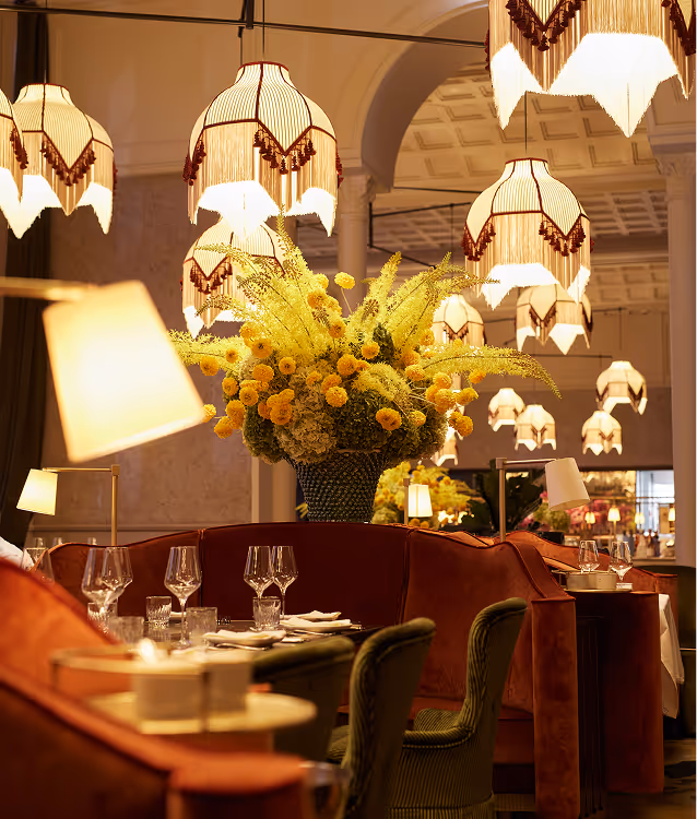 Bild Pellicano Hamburg