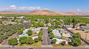 reedley.jpeg