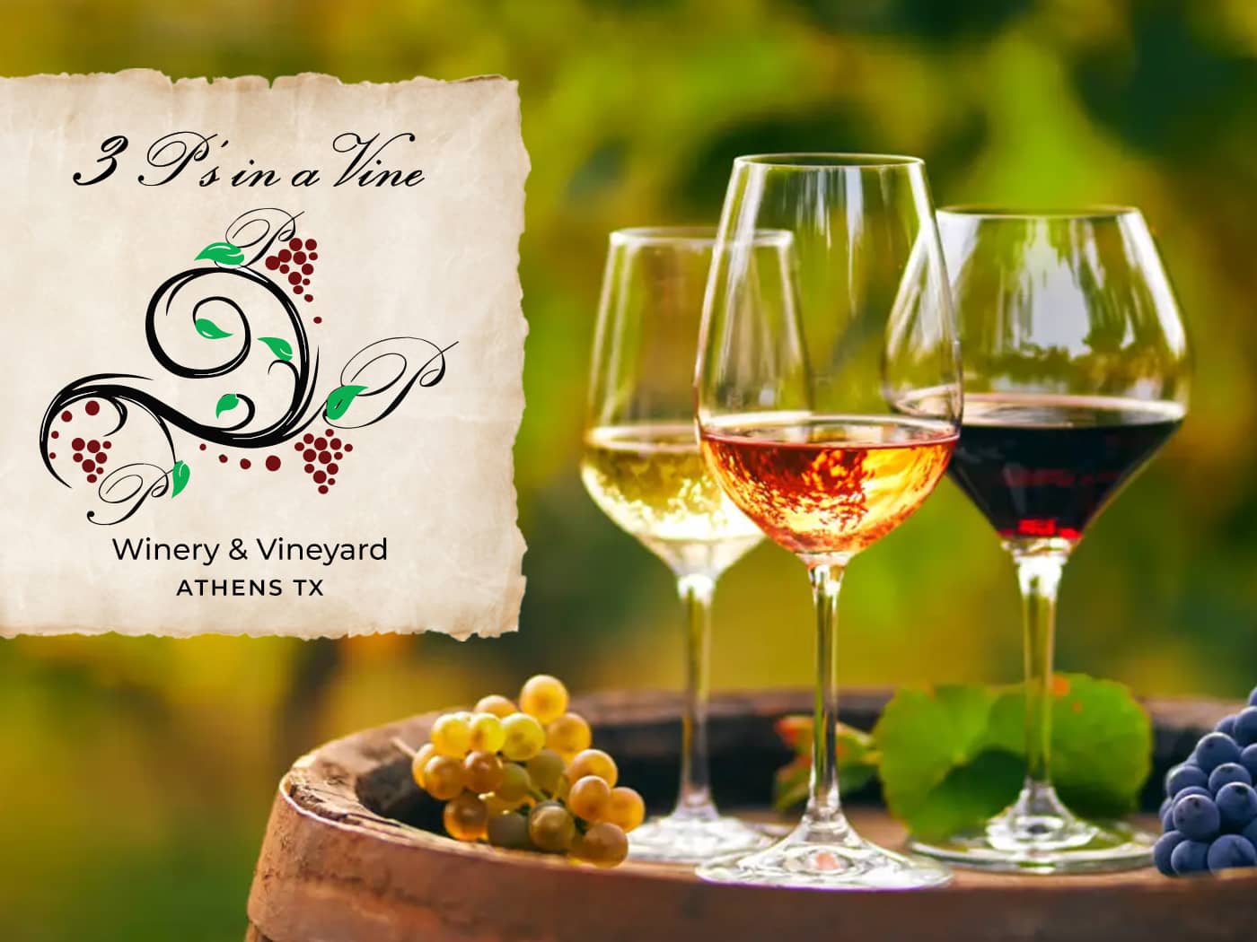 3 P's in a Vine winery