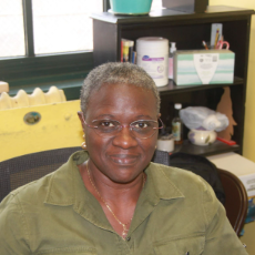 Ms. Rogers staff member at PS 161 smiling at desk