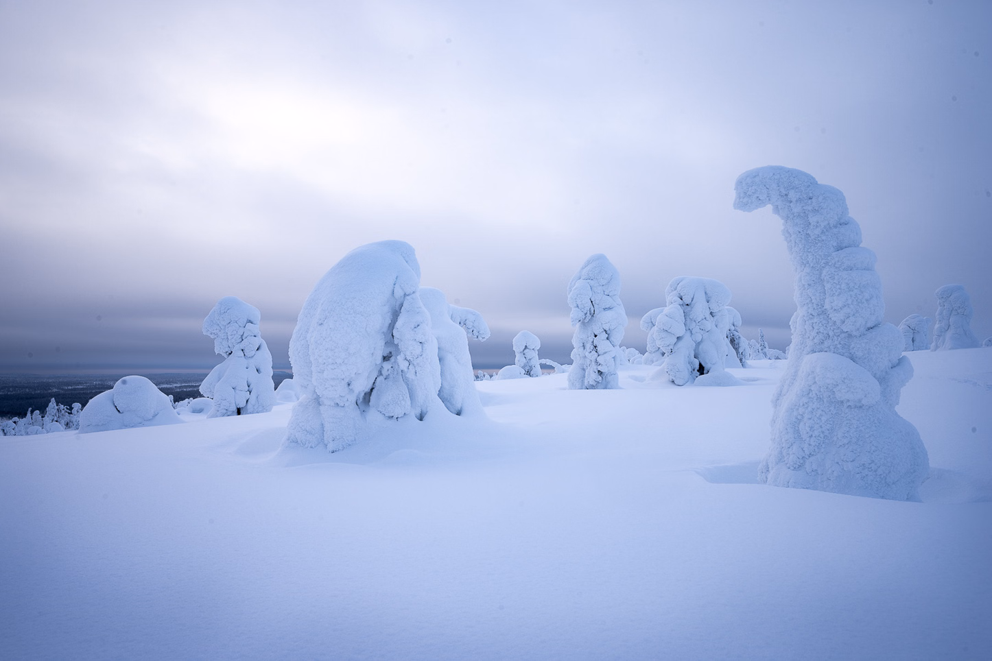 A winter snow formations in the fjells.