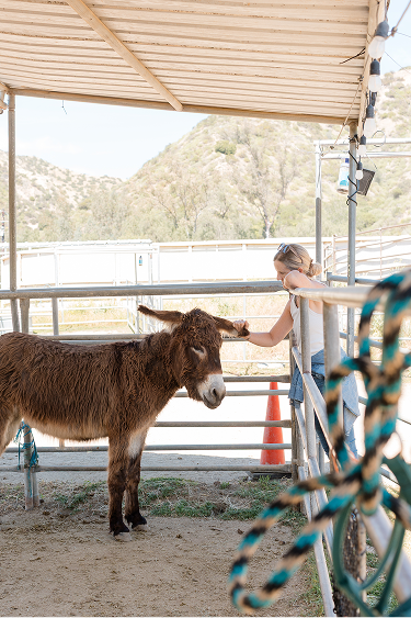 Woman next to donkey.