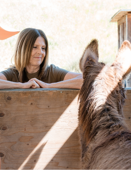 Woman next to horse