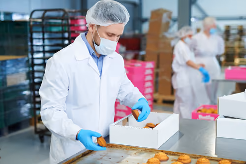Food processing workers in sanitary safety gear inspecting baked goods on a production line.