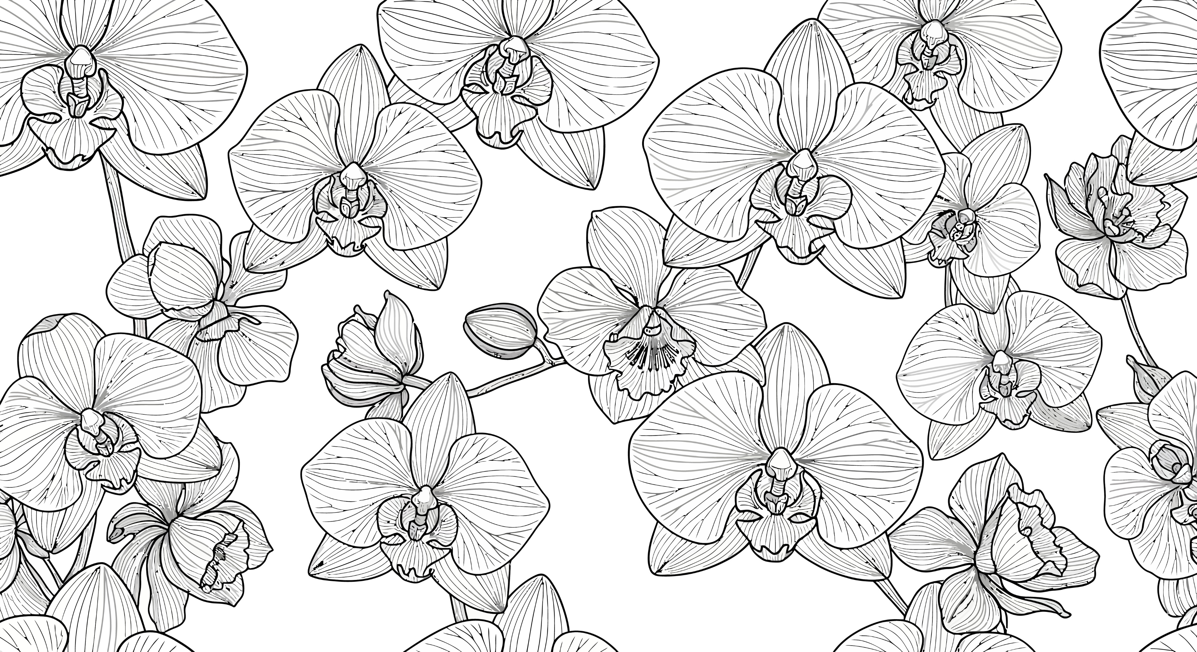 A black and white drawing of a bunch of flowers.