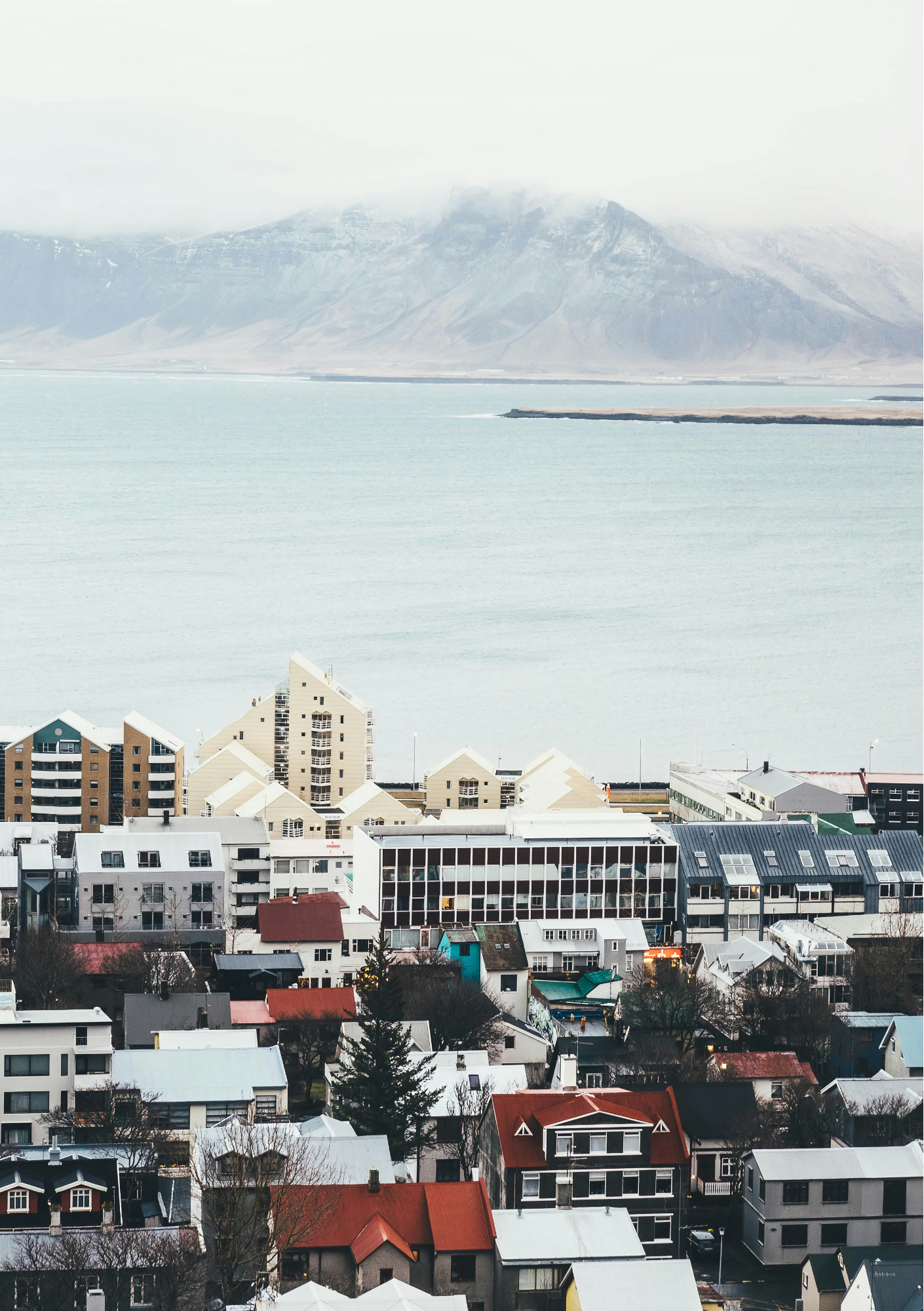 image of seo analytics on a laptop