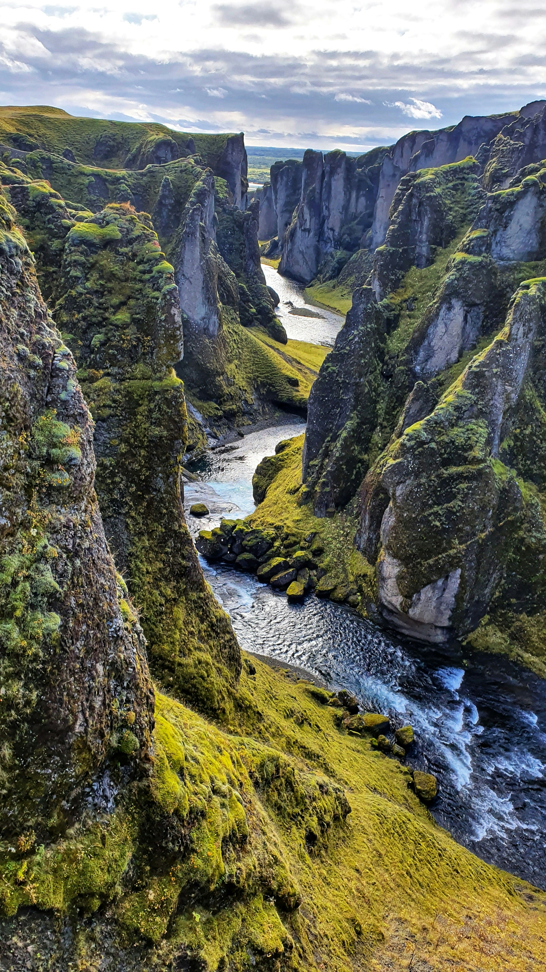 image of seo analytics on a laptop