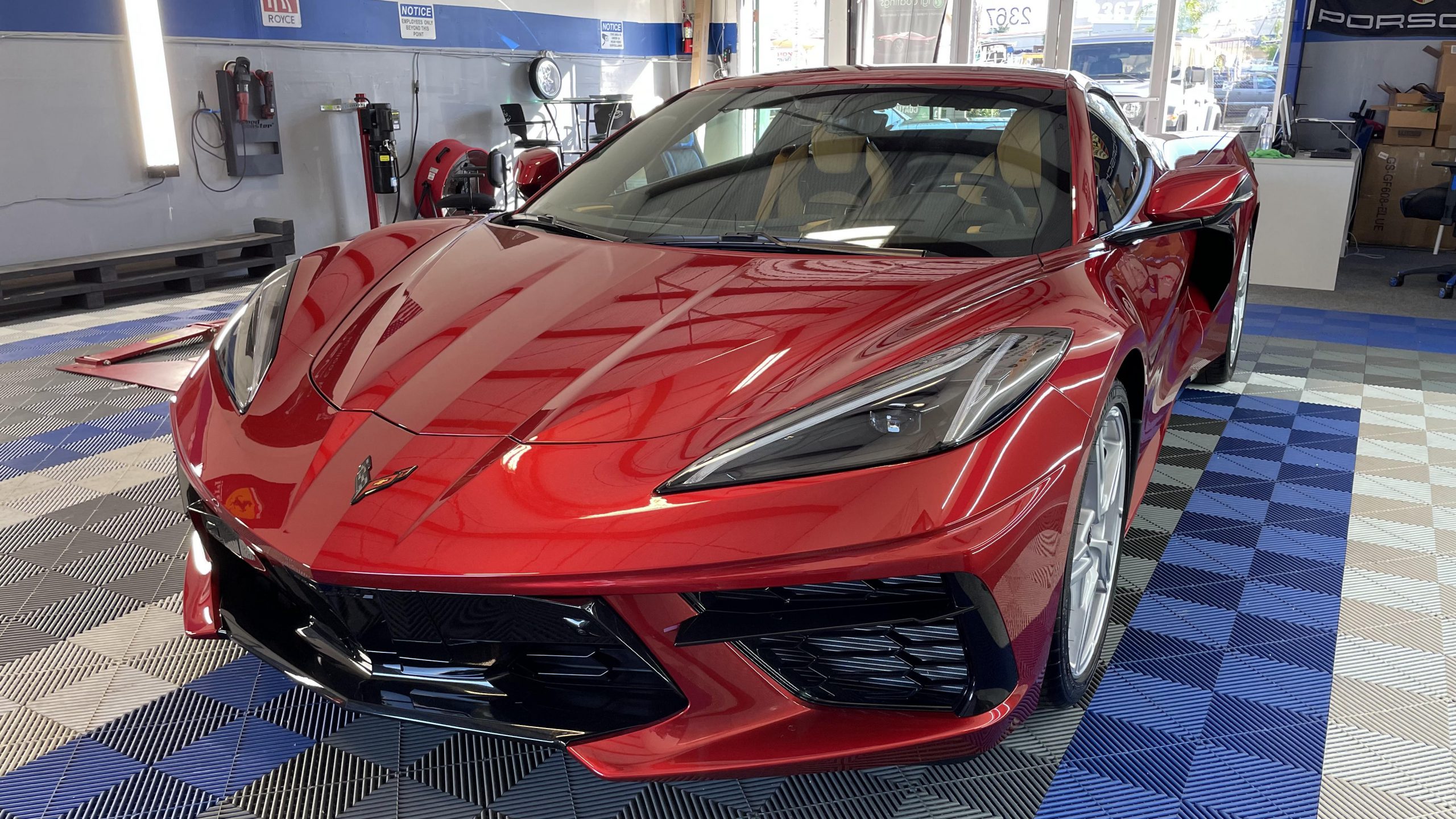 Paint Correction (Swirl Removal)