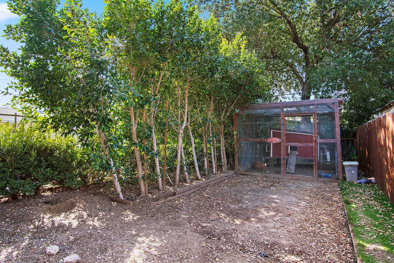 Chicken coop