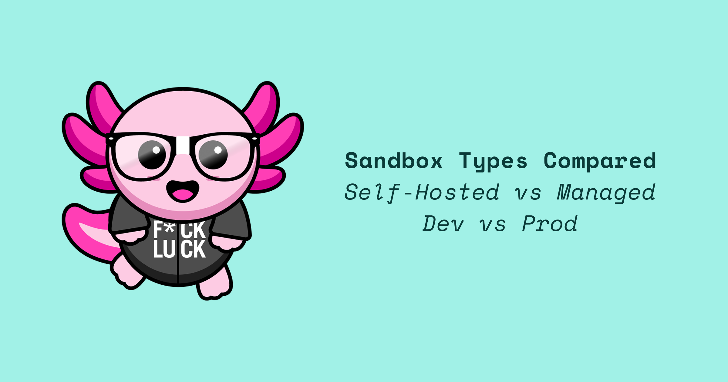Sandbox Types Compared: Self-Hosted vs Managed, Dev vs Prod