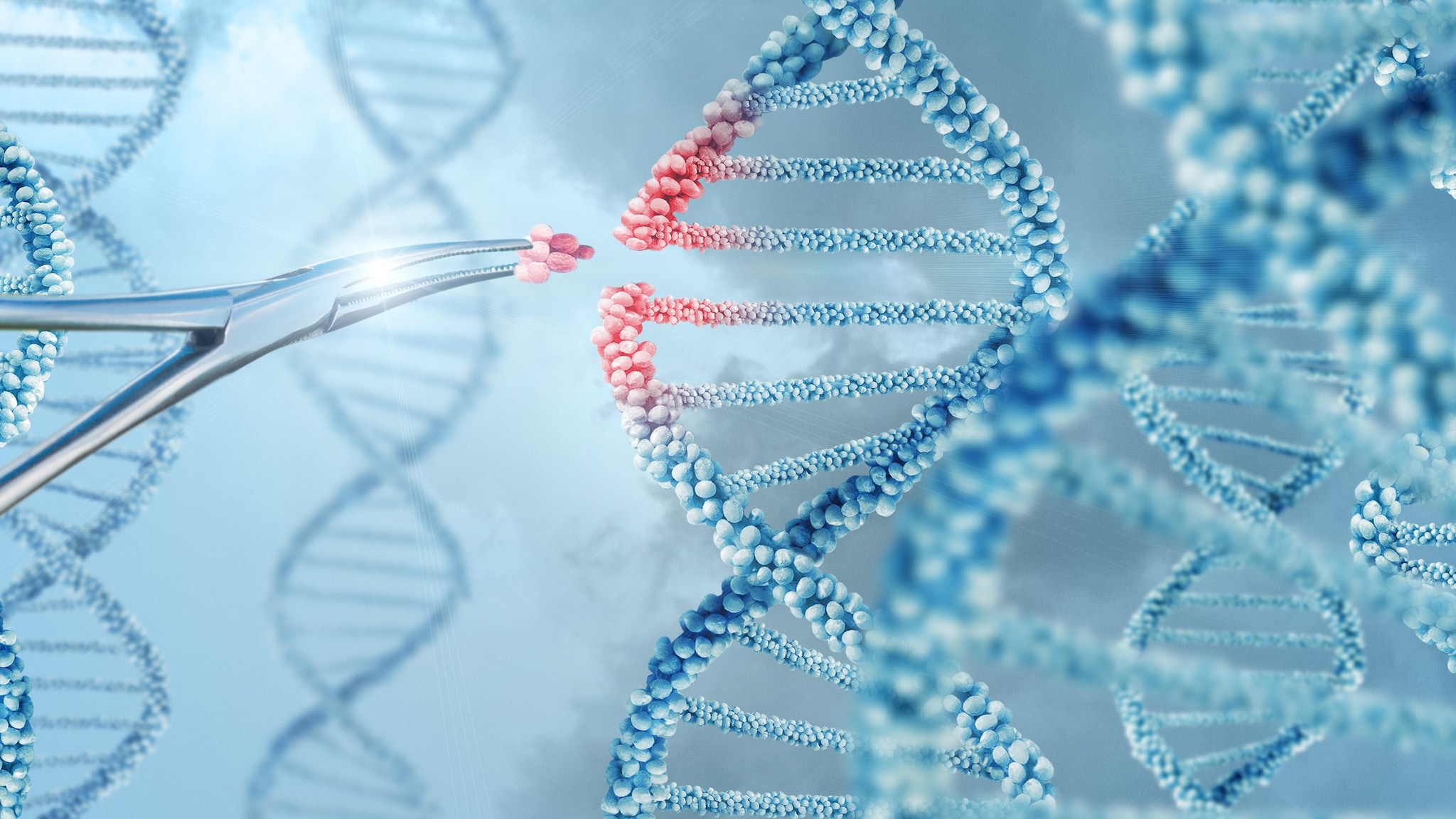 Prawo medyczne w kontekście nowych terapii genowych i komórkowych