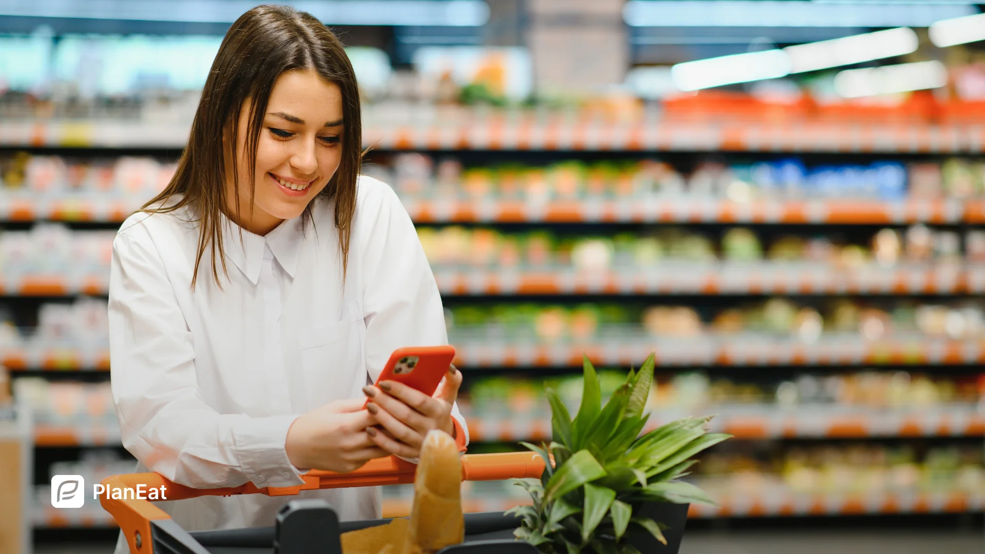 Grocery List Structure & Money-Saving Tips