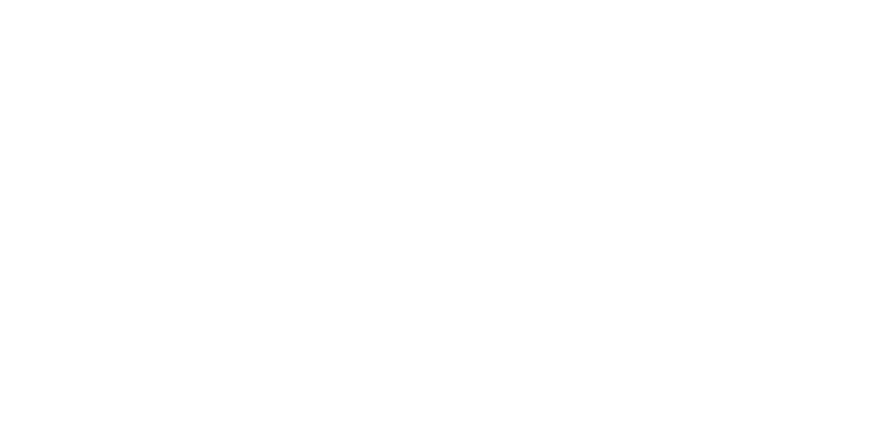 SUI Logo