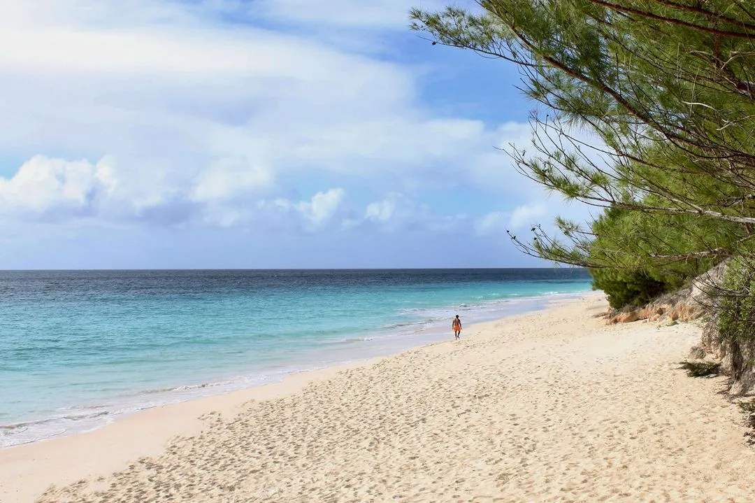 Tropical beach with clear turquoise water, white sand, and lush palm trees under a bright blue sky with scattered clouds.