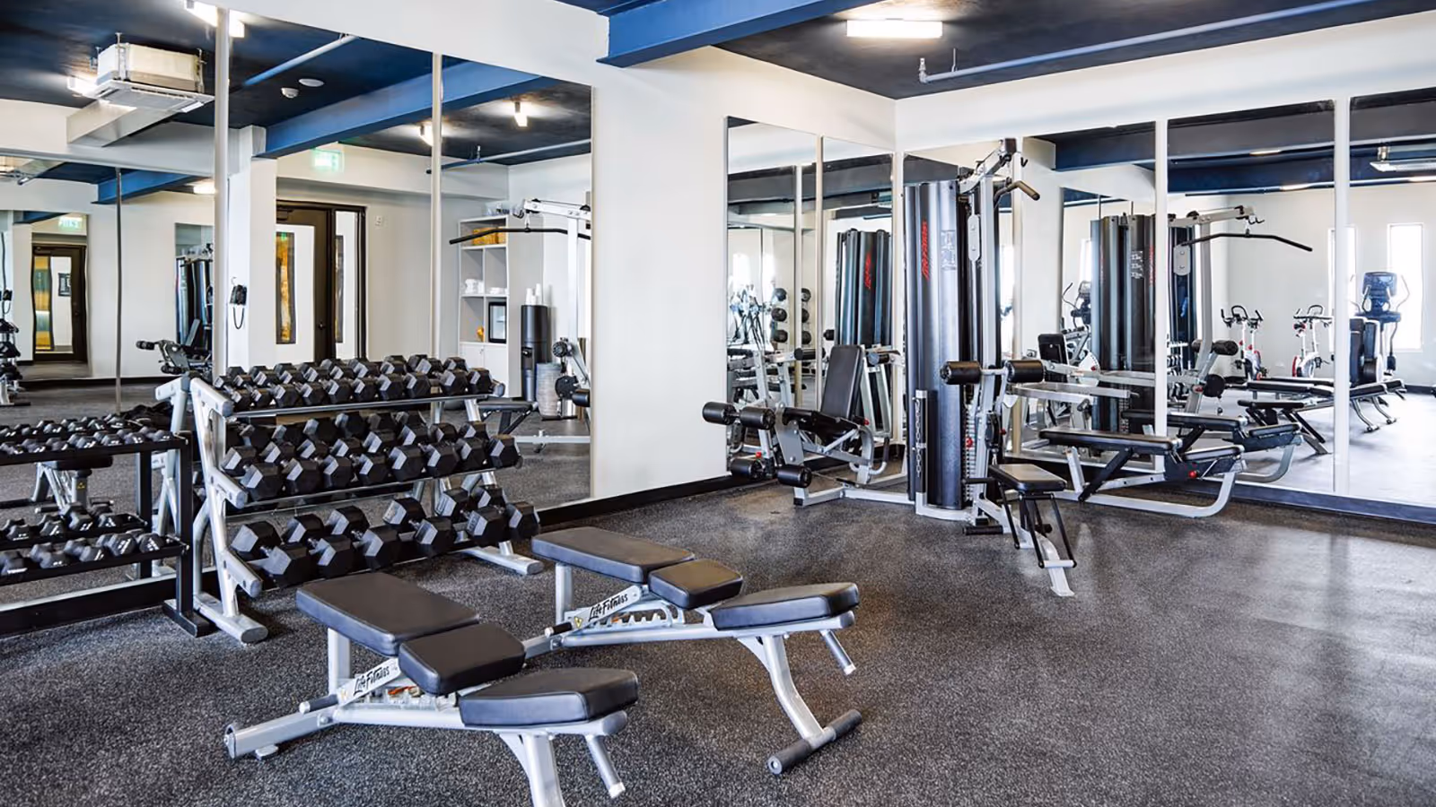 Modern gym room with black dumbbells on racks, benches, and multi-functional workout machines in front of large mirrors.