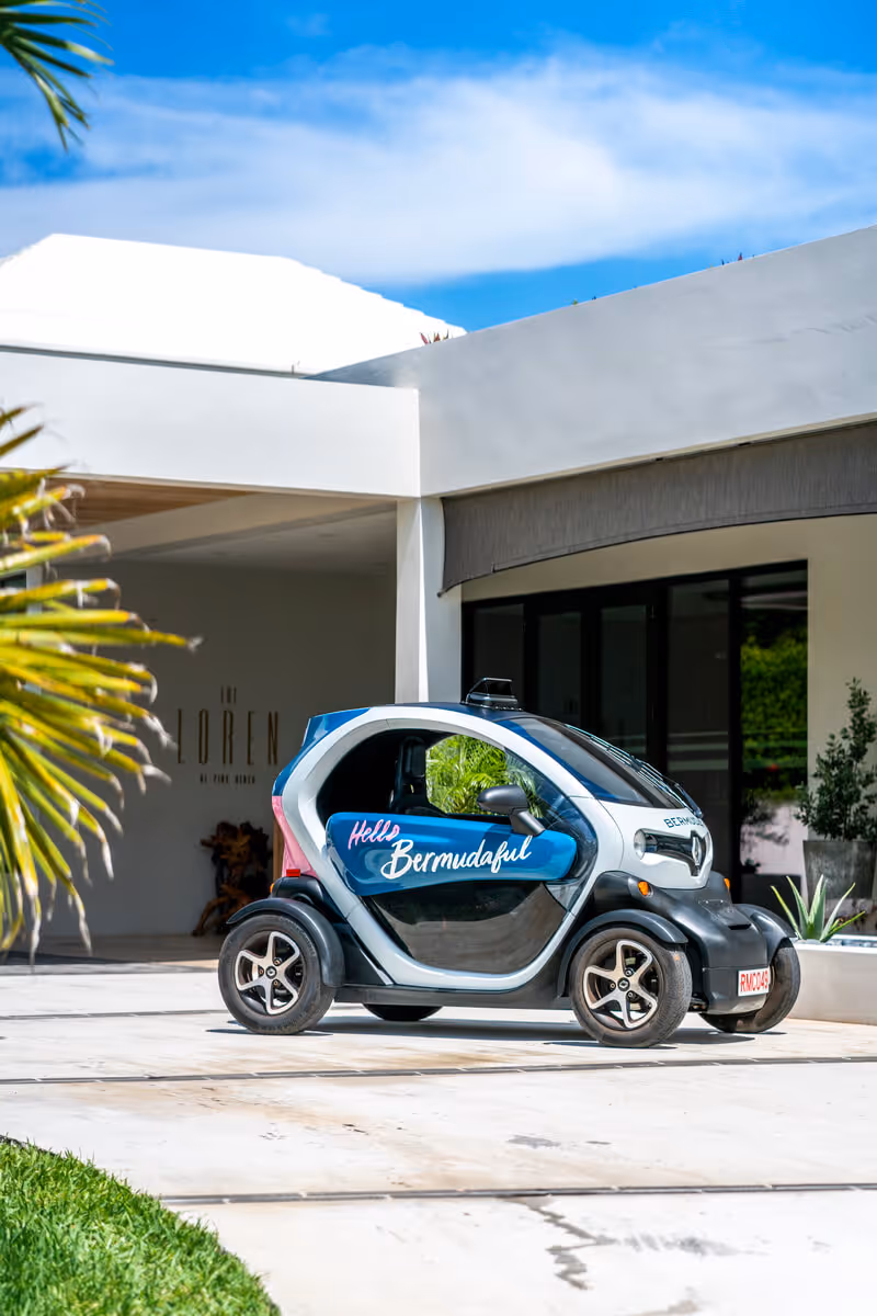 Twizzy Car Rental