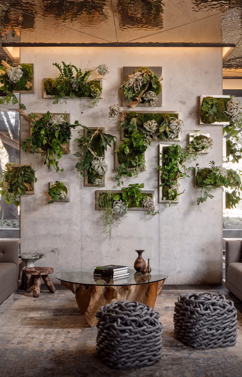 Plant Wall in Lobby
