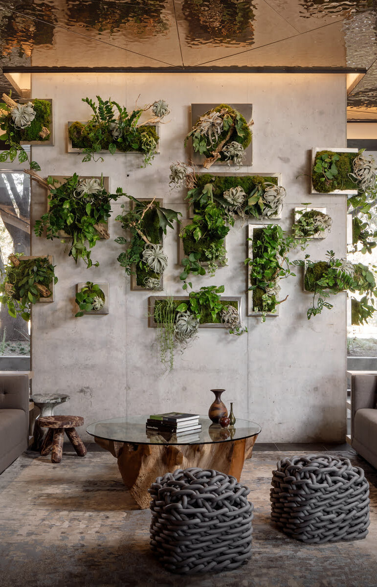 Plant Wall in Lobby