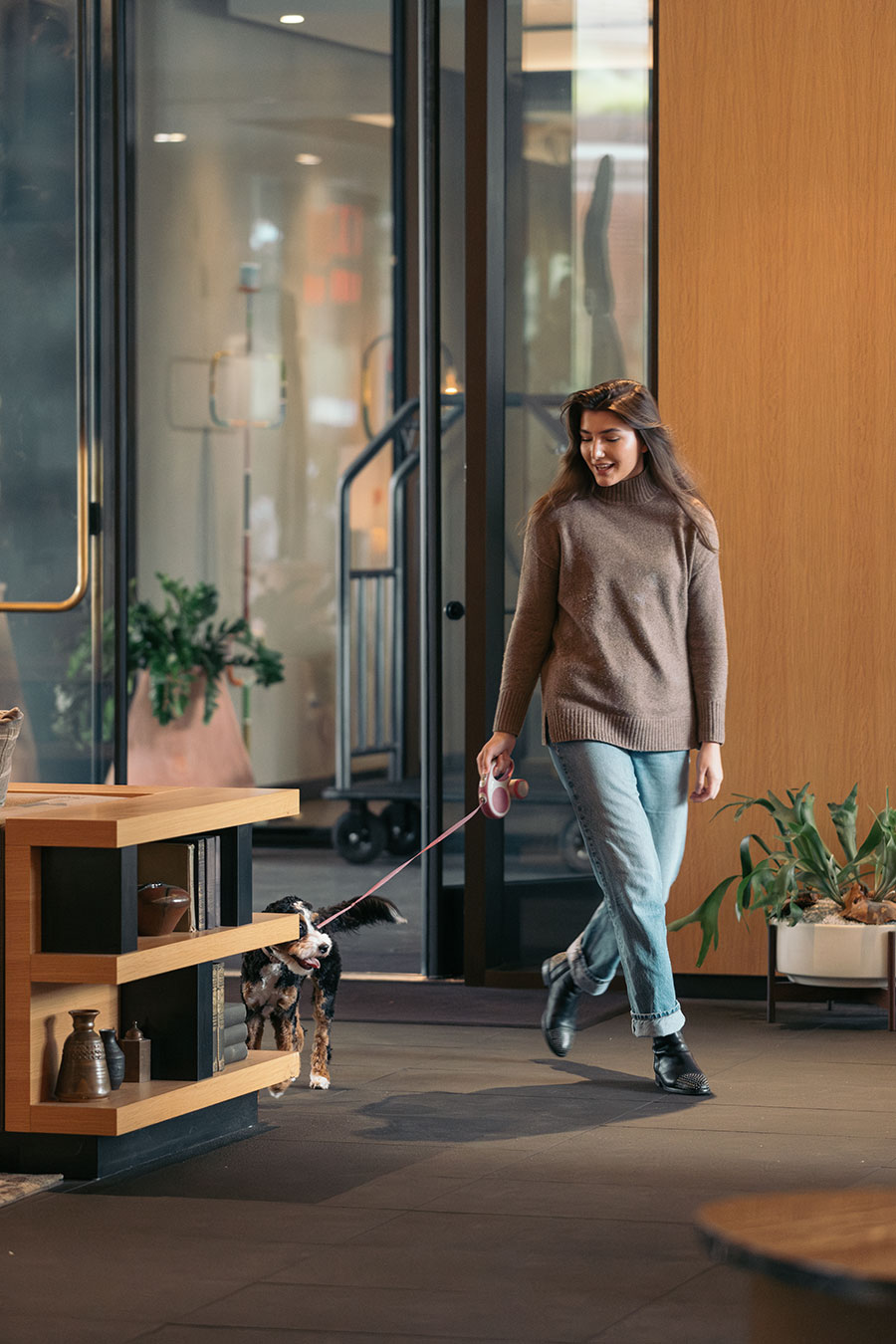 A woman in a brown sweater walks a small dog on a leash indoors near wooden shelves and plants.