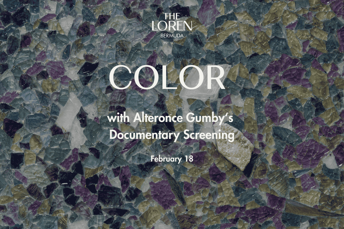 Color - Documentary Screening 