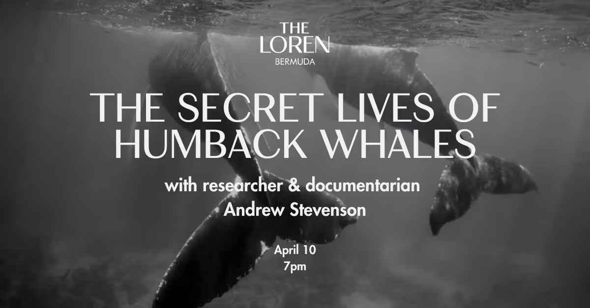 whale