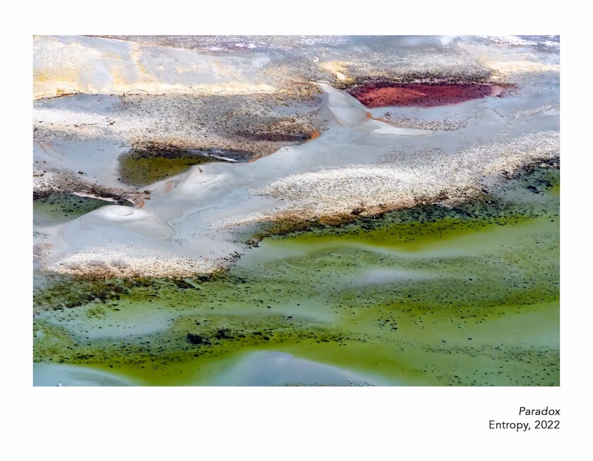 Diane Tuft Entropy