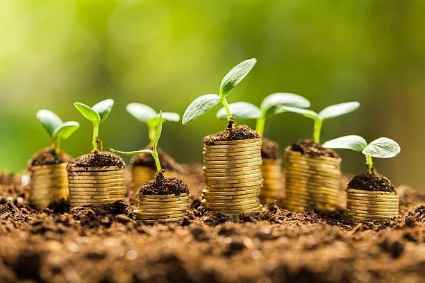 coins stacked coins with a plant growing out of them