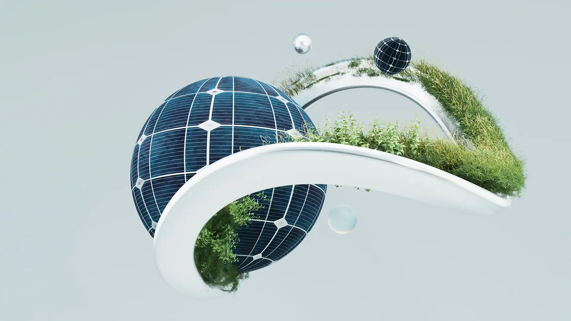 a solar panels and plants