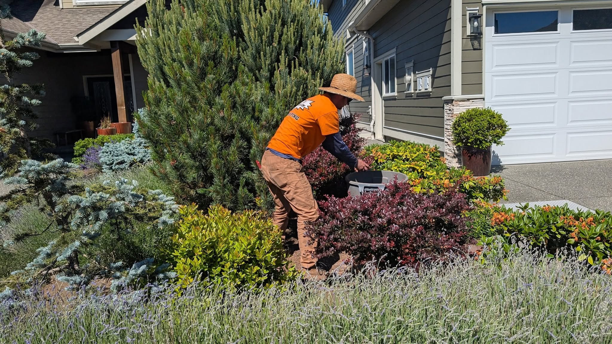 Dream Team Landscaping crew member cleaning a garden bed.