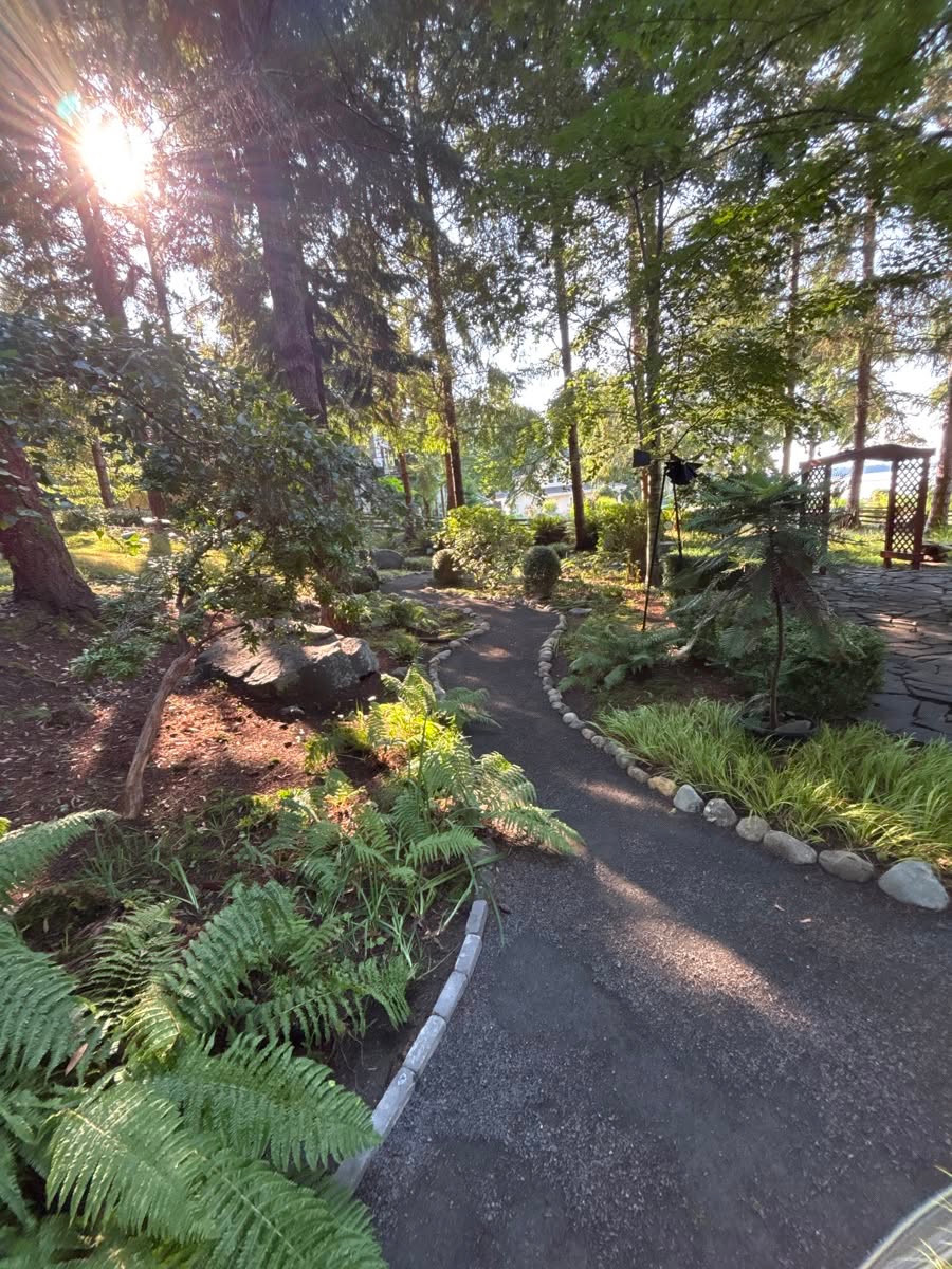 Garden beds and path after cleanup.