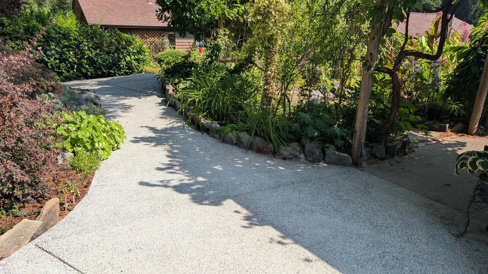 Curved concrete garden walkway bordered by plants and natural stones.