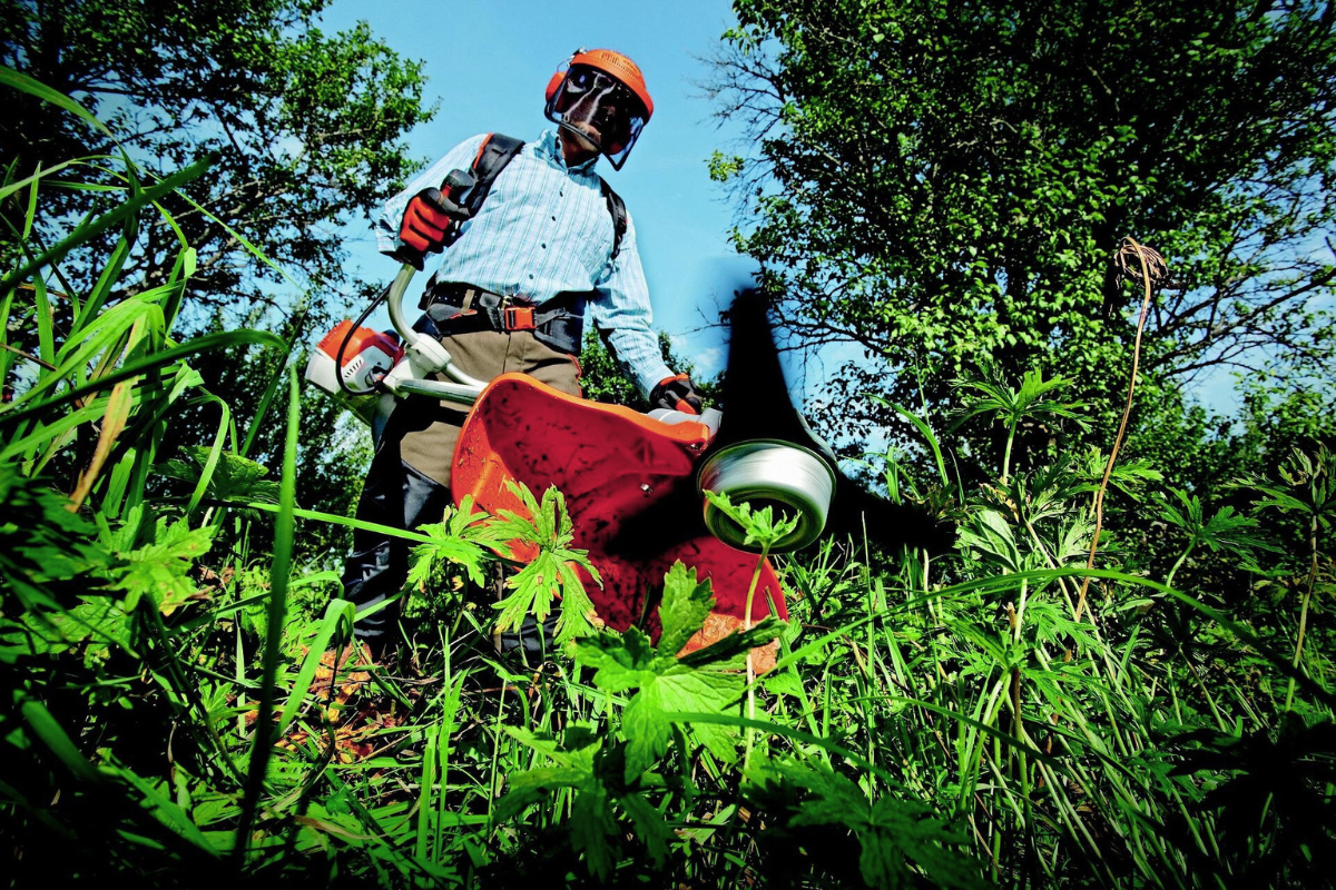Person wearing protective gear using a string trimmer to cut tall green grass and weeds in a sunny outdoor setting.