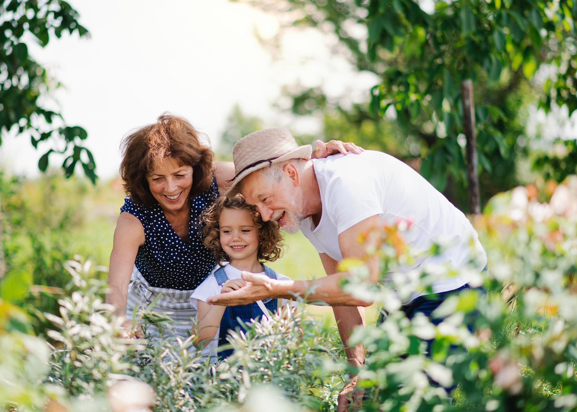Grandparents gardening with grandchild