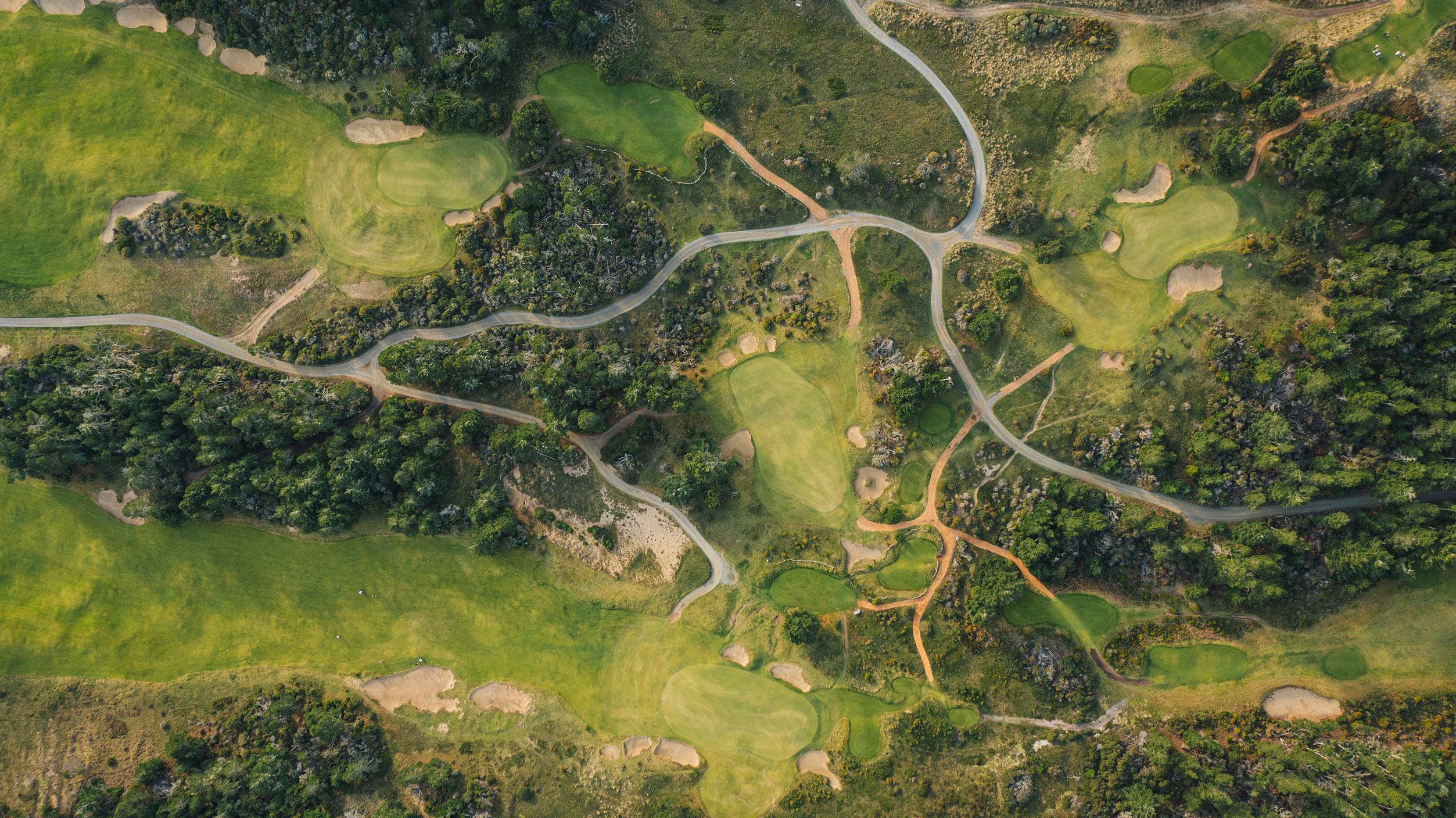 Bandon Trails