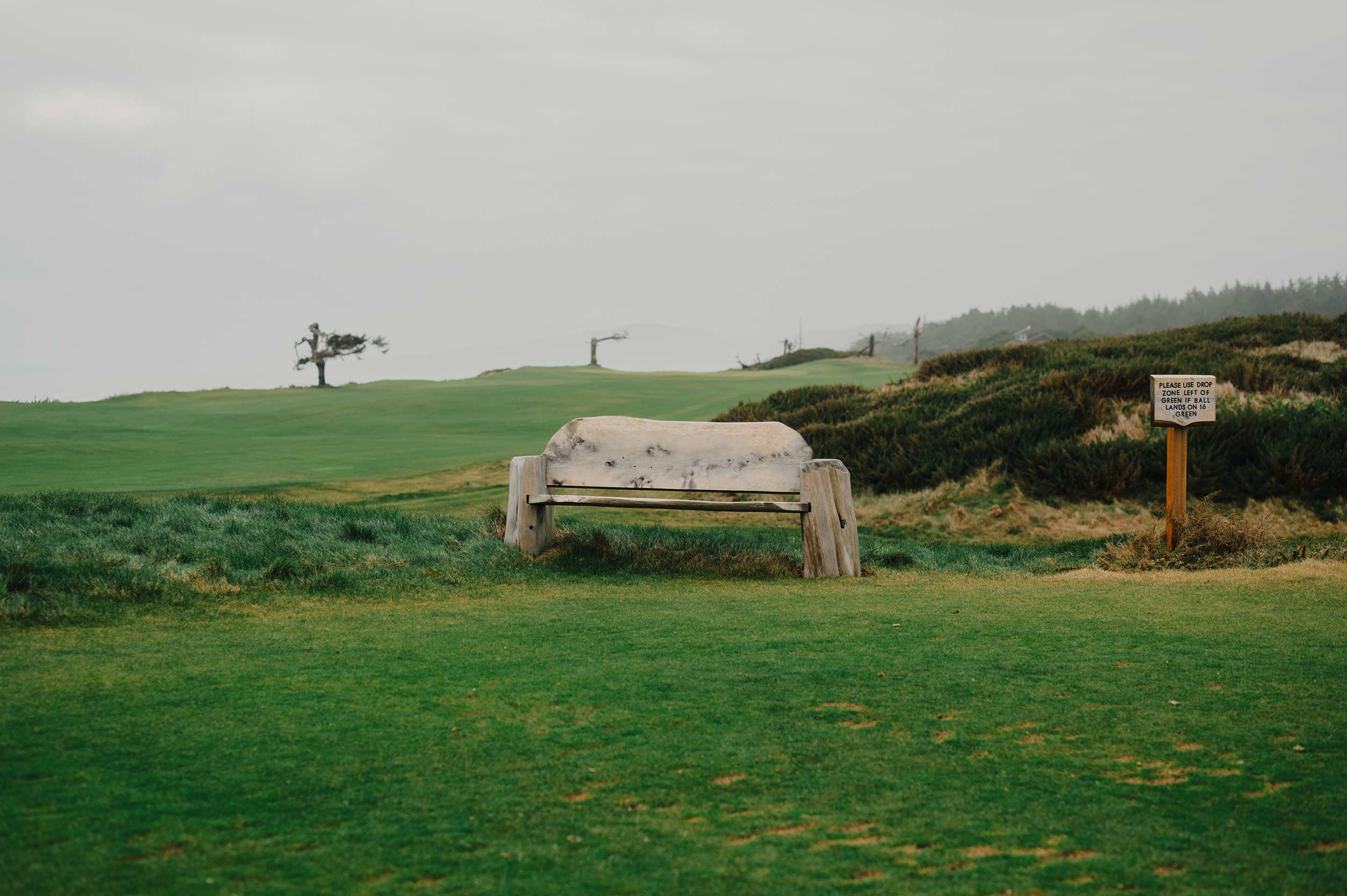 Sheep Ranch