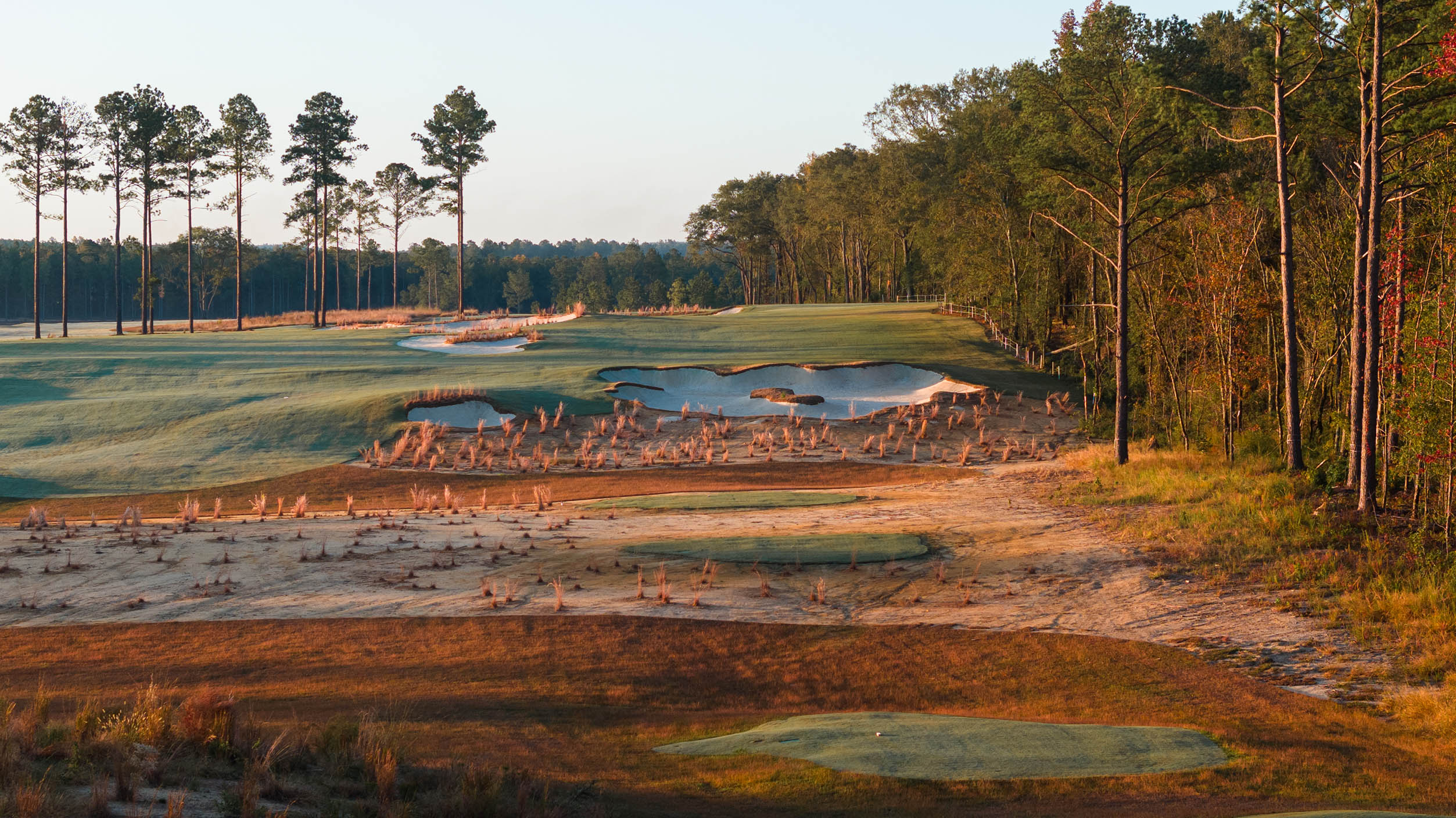 Participant Hub: Club TFE Broomsedge Preview Play