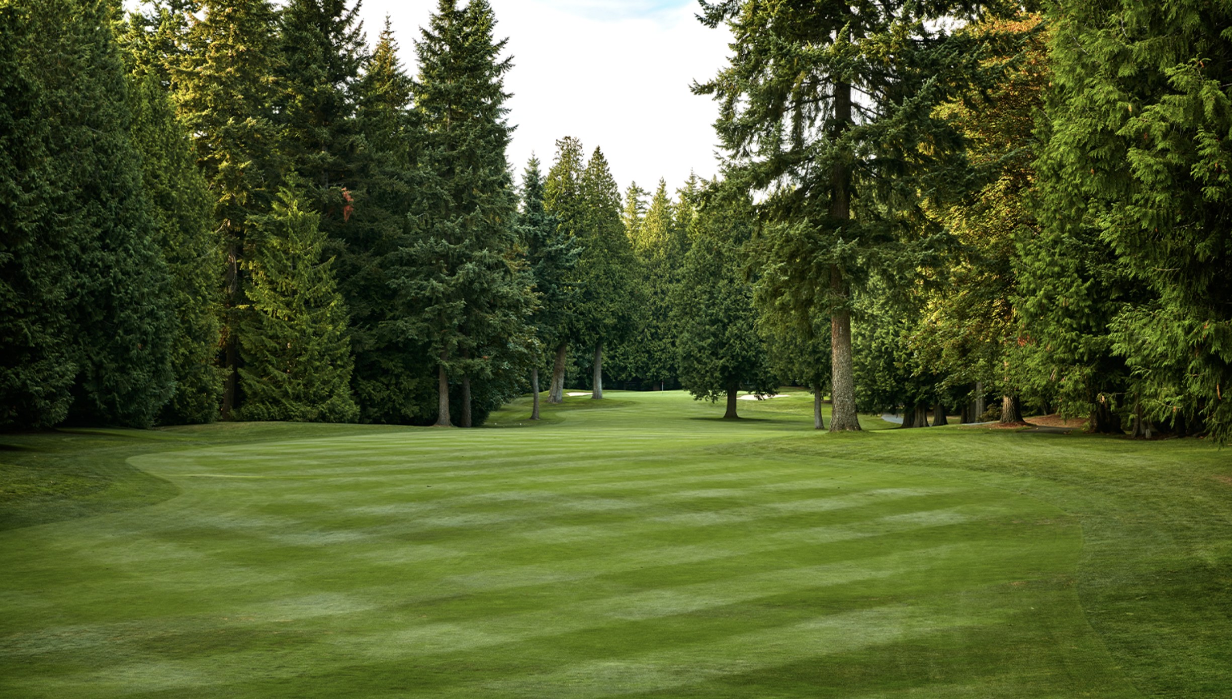 Weekend Chat: The Hallways of Golf
