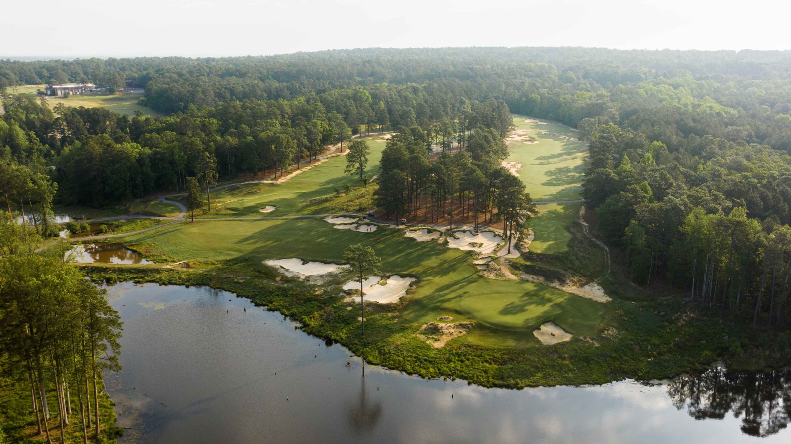 Design Notebook: Mid Pines or Southern Pines?