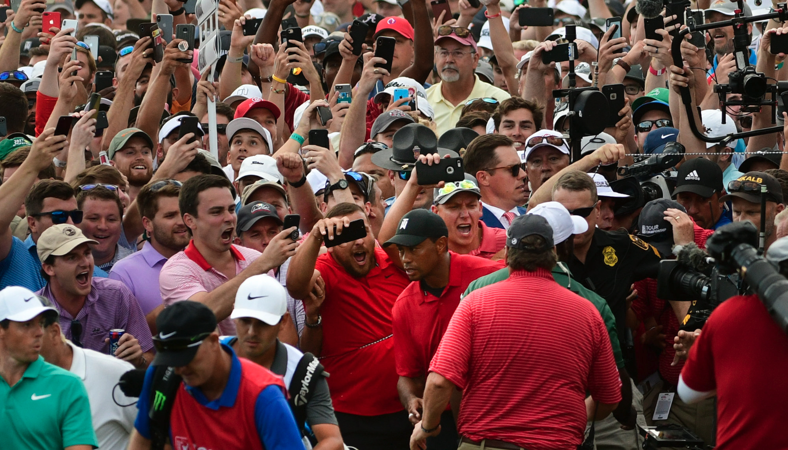 Shane Bacon’s Word of the Week: Tigermania
