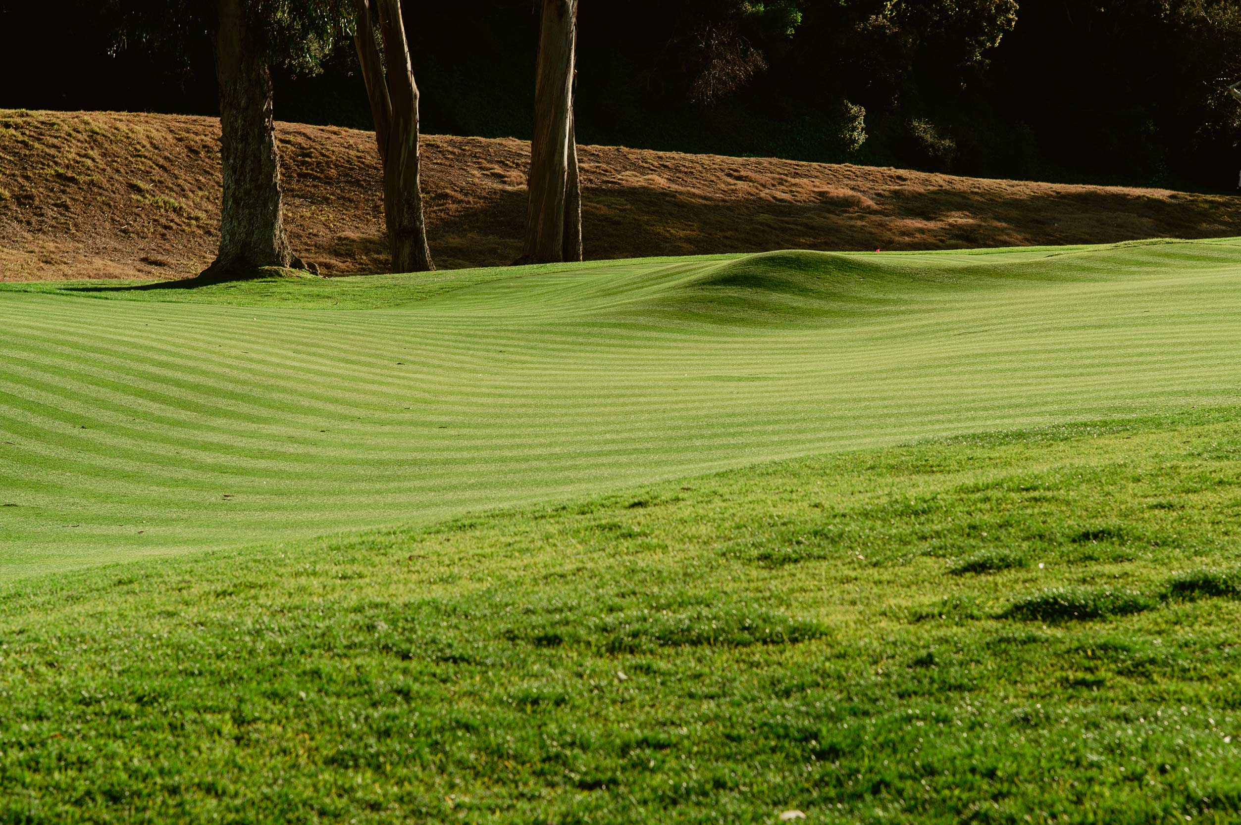 A Few Subtleties of Riviera That Don’t Come Across on TV