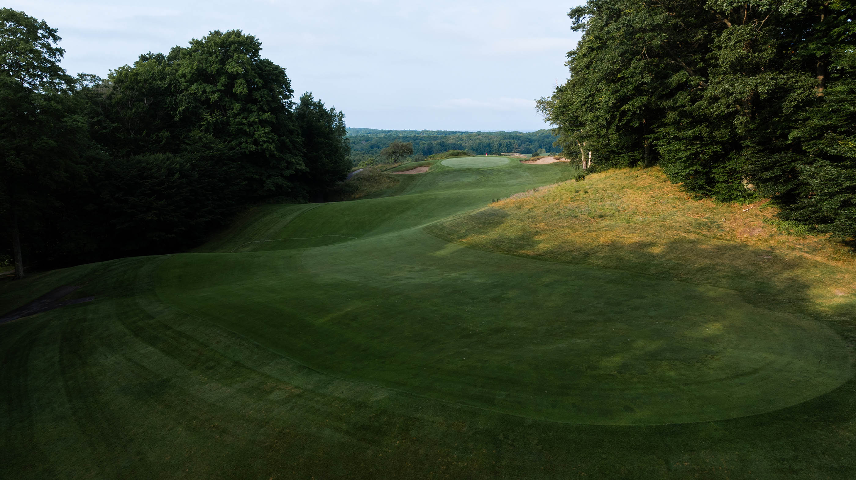 Crystal Downs