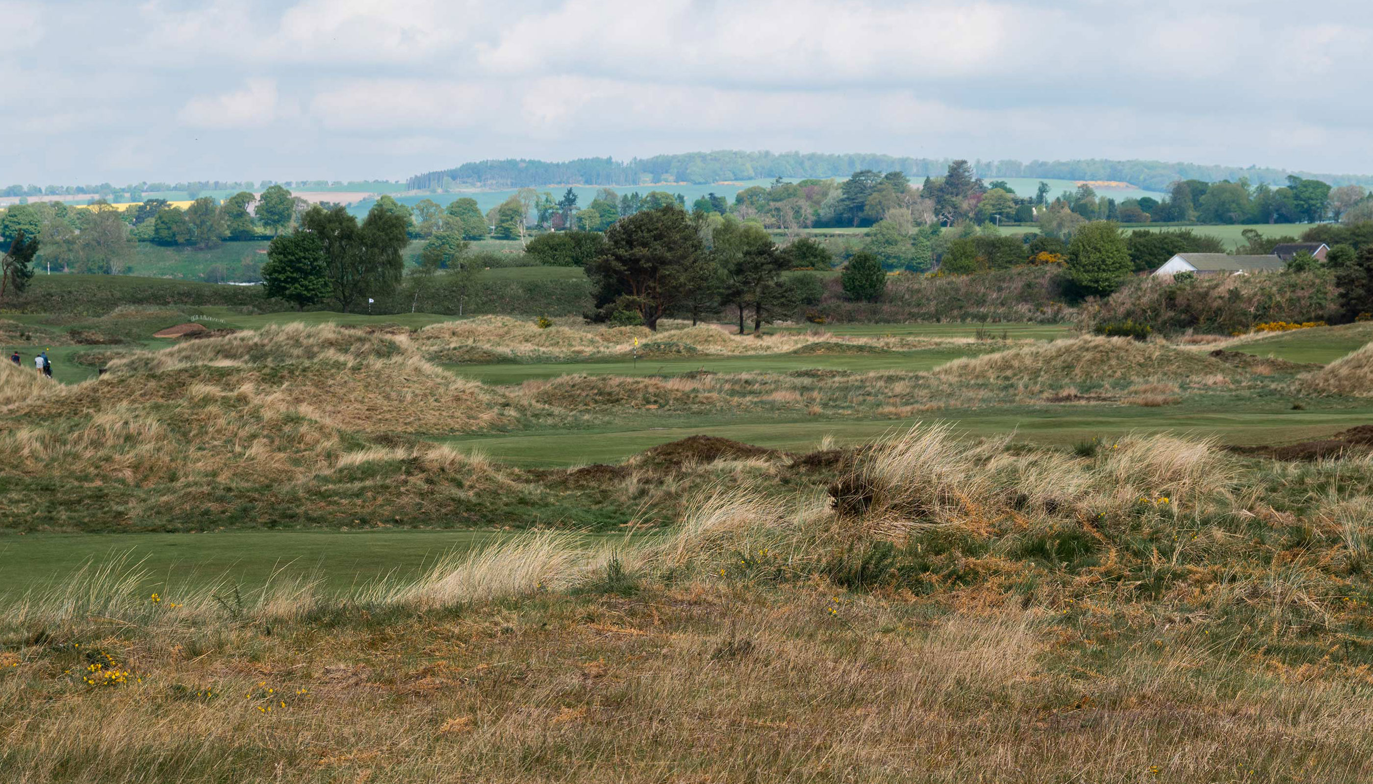 Panmure Golf Club Scotland