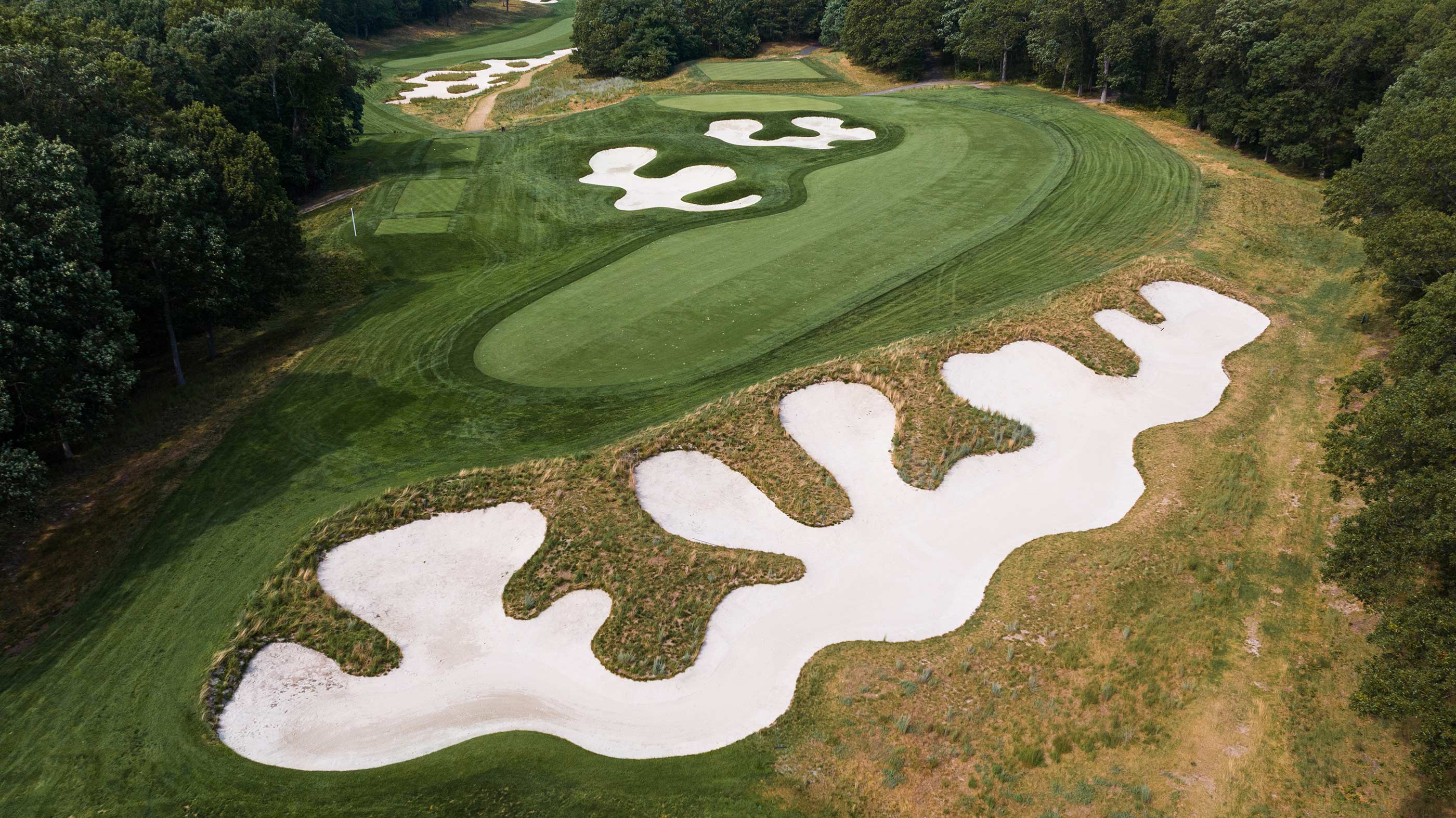 The Great Hazard