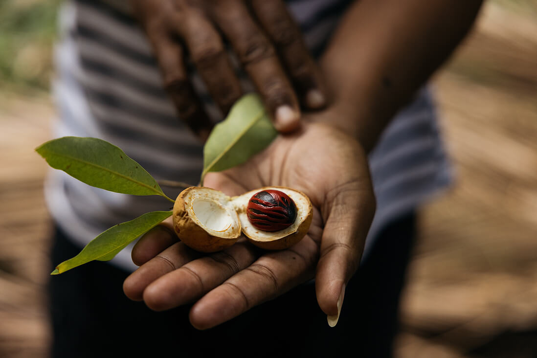 Nutmeg plantations and spice markets