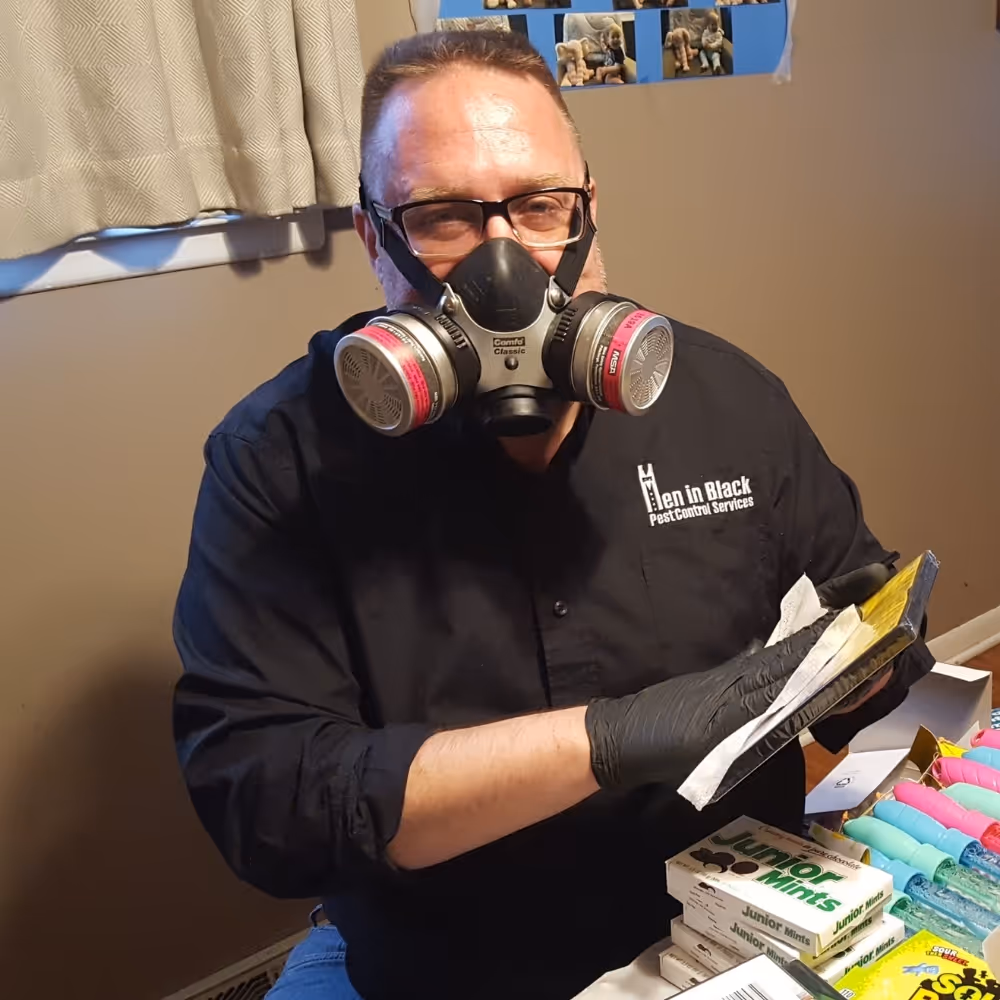 About Men In Black Pest Services