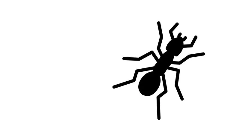 General Pest Prep