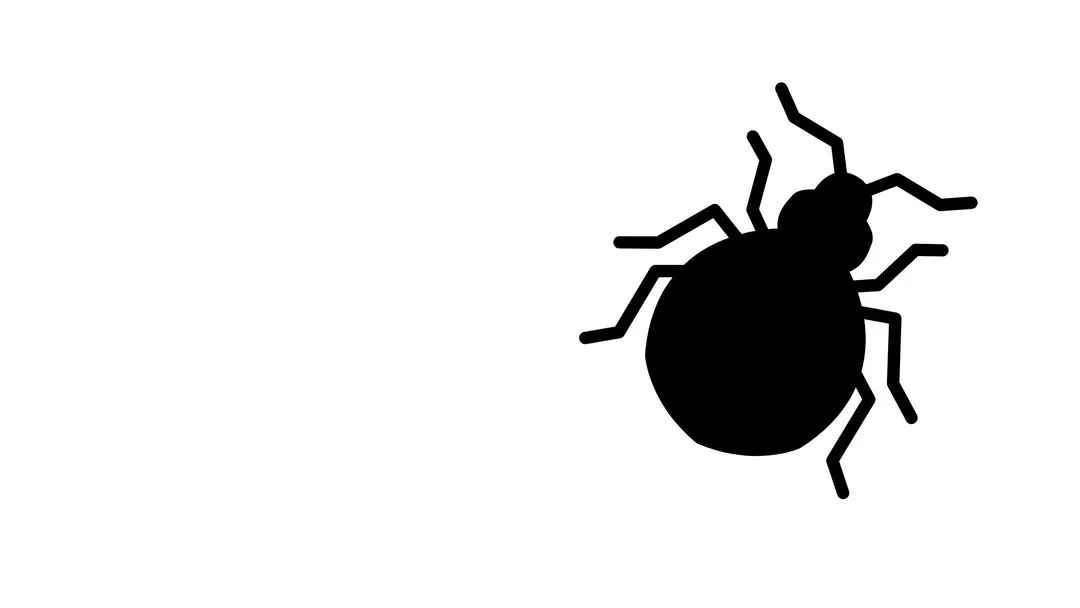 Bed Bug Prep