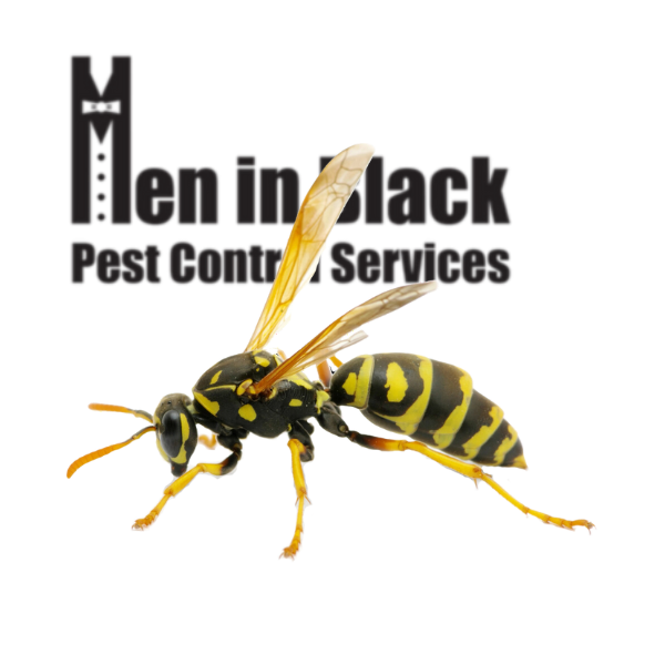 Stinging Insect Control Services