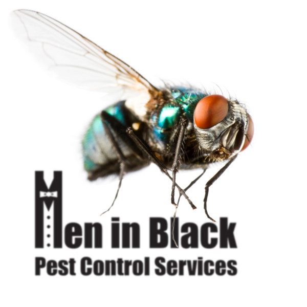 Fly Control