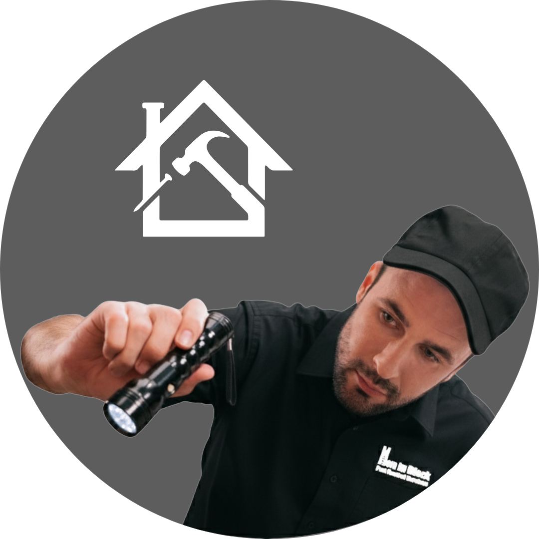 Rodent Exclusion Expert